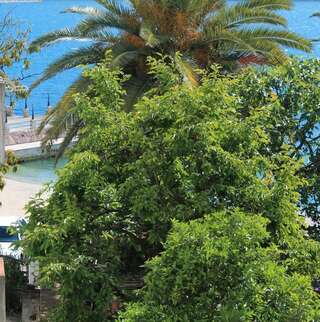 Апартаменты Solar Apartments Херцег-Нови Номер-студио с балконом и видом на море-11